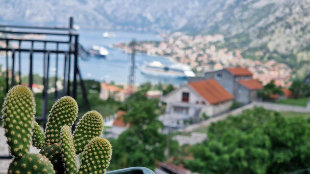 Apartament Anastasija 2 Kotor Zewnętrze zdjęcie