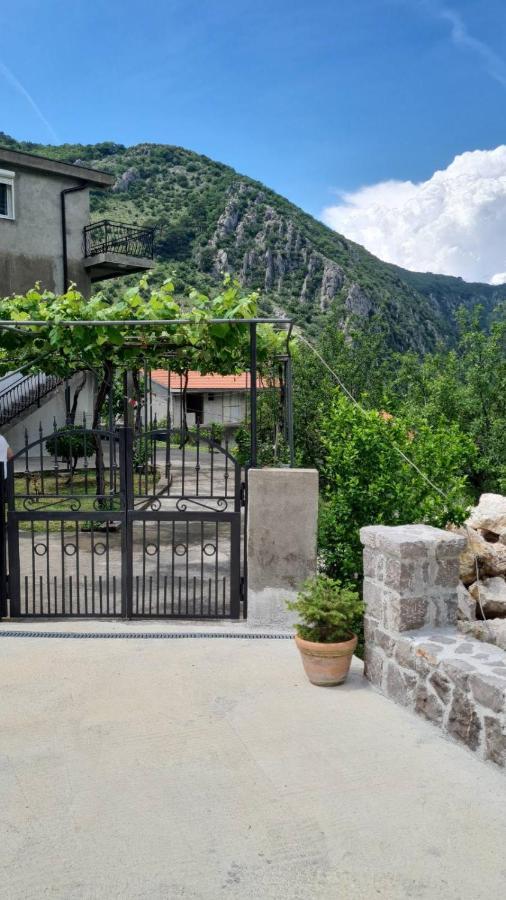 Apartament Anastasija 2 Kotor Zewnętrze zdjęcie